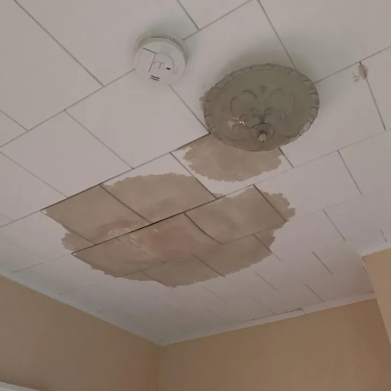 Ceiling Water Damage Repair in Kings Point, FL